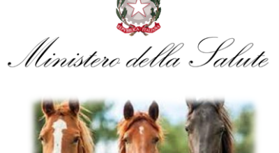 IDENTIFICAZIONE REGISTRAZIONE EQUINI