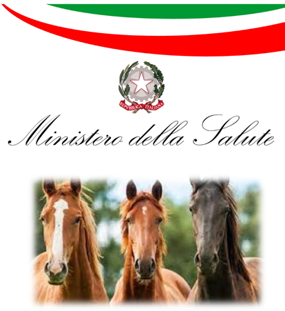IDENTIFICAZIONE REGISTRAZIONE EQUINI