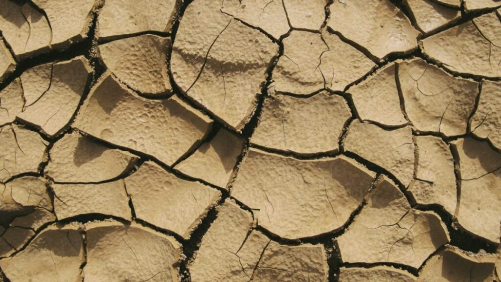 SICCITA’ – REGIONE LAZIO DICHIARA LO STATO DI CALAMITA’ NATURALE